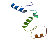 Family With Sequence Similarity 216, Member A (FAM216A)