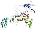 Methyltransferase Like Protein 25 (METTL25)