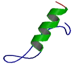 RAD9, HUS1, RAD1 Interacting Nuclear Orphan Protein 1 (RHNO1)