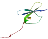 Family With Sequence Similarity 222, Member A (FAM222A)