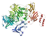 Chromosome 12 Open Reading Frame 35 (C12orf35)