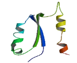 Neuropeptide Q (NPQ)