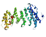 Chromosome 12 Open Reading Frame 4 (C12orf4)