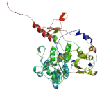 KAT8 Regulatory NSL Complex Subunit 2 (KANSL2)