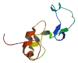 Chromosome 12 Open Reading Frame 42 (C12orf42)