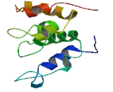 Chromosome 12 Open Reading Frame 43 (C12orf43)