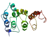 Chromosome 12 Open Reading Frame 45 (C12orf45)