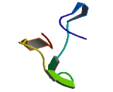 Chromosome 12 Open Reading Frame 49 (C12orf49)