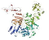 HECT Domain Containing Protein 4 (HECTD4)