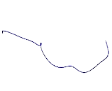 RBPJ Interacting And Tubulin Associated Protein 1 (RITA1)