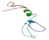 Chromosome 12 Open Reading Frame 61 (C12orf61)