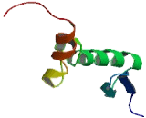 Chromosome 12 Open Reading Frame 65 (C12orf65)