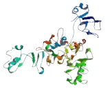 Chromosome 12 Open Reading Frame 66 (C12orf66)