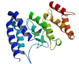 Single Pass Membrane And Coiled Coil Domain Containing Protein 3 (SMCO3)