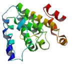 Chromosome 12 Open Reading Frame 71 (C12orf71)