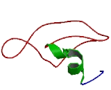 Chromosome 12 Open Reading Frame 73 (C12orf73)