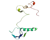 Chromosome 12 Open Reading Frame 76 (C12orf76)