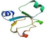 SPRY Domain Containing Protein 7 (SPRYD7)