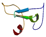 Chromosome 13 Open Reading Frame 18 (C13orf18)