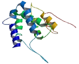 Sperm Acrosome Associated Protein 7 (SPACA7)