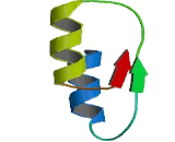 Family With Sequence Similarity 216, Member B (FAM216B)