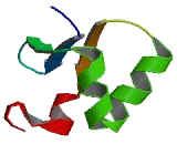 Small Integral Membrane Protein 2 (SMIM2)