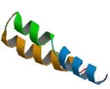 Ergosterol Biosynthetic Protein 28 (ERG28)