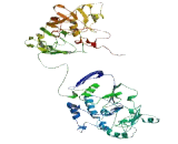 Transmembrane Protein 260 (TMEM260)