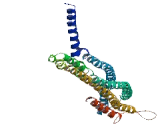 Chromosome 14 Open Reading Frame 102 (C14orf102)