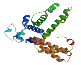 Chromosome 14 Open Reading Frame 105 (C14orf105)