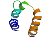 Transmembrane Protein 251 (TMEM251)