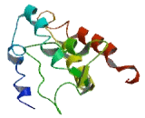 Chromosome 14 Open Reading Frame 119 (C14orf119)