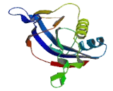 D-Tyrosyl tRNA Deacylase 2 (DTD2)