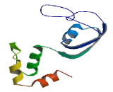 Chromosome 14 Open Reading Frame 132 (C14orf132)