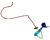 Chromosome 14 Open Reading Frame 144 (C14orf144)