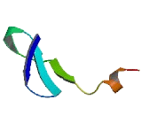 Chromosome 14 Open Reading Frame 147 (C14orf147)