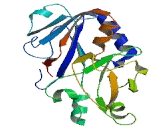 Chromosome 14 Open Reading Frame 159 (C14or<b>f159</b>)