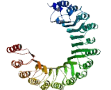 Leucine Rich Repeat Containing Protein 74 (LRRC74)