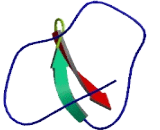 DHRS4 Antisense Gene Protein 1 (DHRS4-AS1)