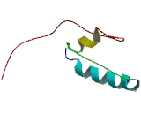 Chromosome 14 Open Reading Frame 178 (C14orf178)