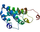 Nutritionally Regulated Adipose And Cardiac Enriched Protein Homolog (NRAC)