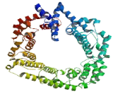 Nucleolar protein 9 (NOP9)