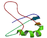 Chromosome 14 Open Reading Frame 23 (C14orf23)