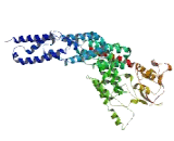 Six6 Opposite Strand Protein 1 (SIX6OS1)