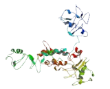 ELM2 And SANT Domain Containing Protein 1 (ELMSAN1)