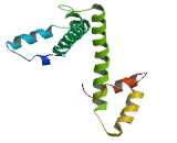 Chromosome 14 Open Reading Frame 48 (C14orf48)