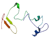 Protein Phosphatase 1, Regulatory Subunit 36 (PPP1R36)