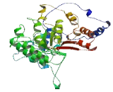 Chromosome 14 Open Reading Frame 80 (C14orf80)