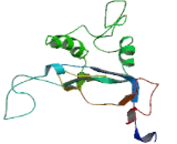 Family With Sequence Similarity 219, Member B (FAM219B)