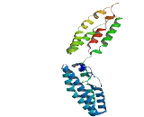 Chromosome 15 Open Reading Frame 27 (C15orf27)